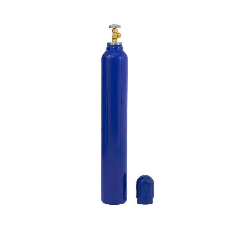 Oksijen Konsantratörü 10 Litre